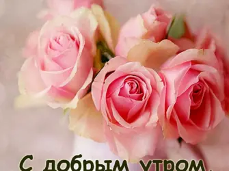 Доброе утро солнышко. Открытка с пожеланием