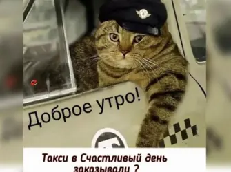 Доброе утро такси в счастливый день заказывали садитесь поехали. Открытка с пожеланием