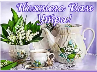 Доброе утро вторника открытка