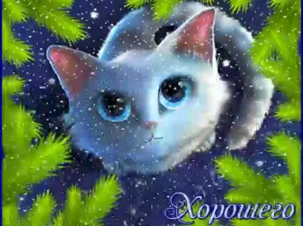 Доброго дня гиф. Поздравление на праздник