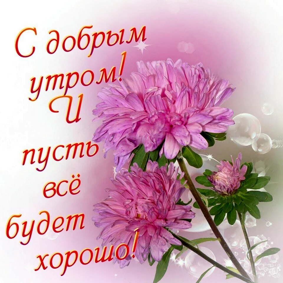 Доброго дня и здоровья. Открытка с поздравлением