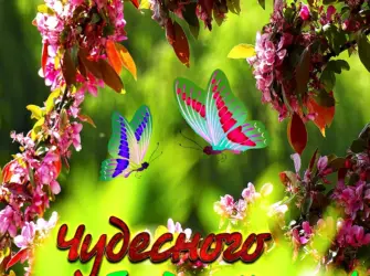 Доброго дня природа. Открытка с пожеланием