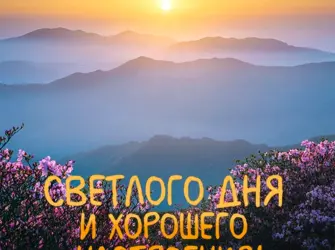 Доброго солнечного дня. Открытка с пожеланием