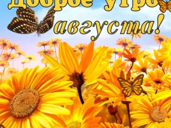 Доброго утра августа и хорошего настроения. Открытка с пожеланием