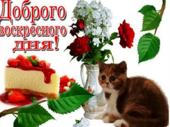 Доброго воскресного дня. Поздравление на праздник