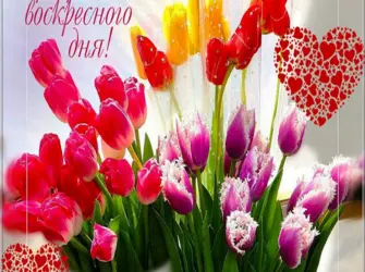 Доброго воскресного дня. Открытка с пожеланием