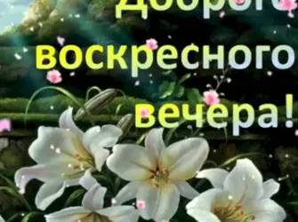 Доброго воскресного вечера открытка