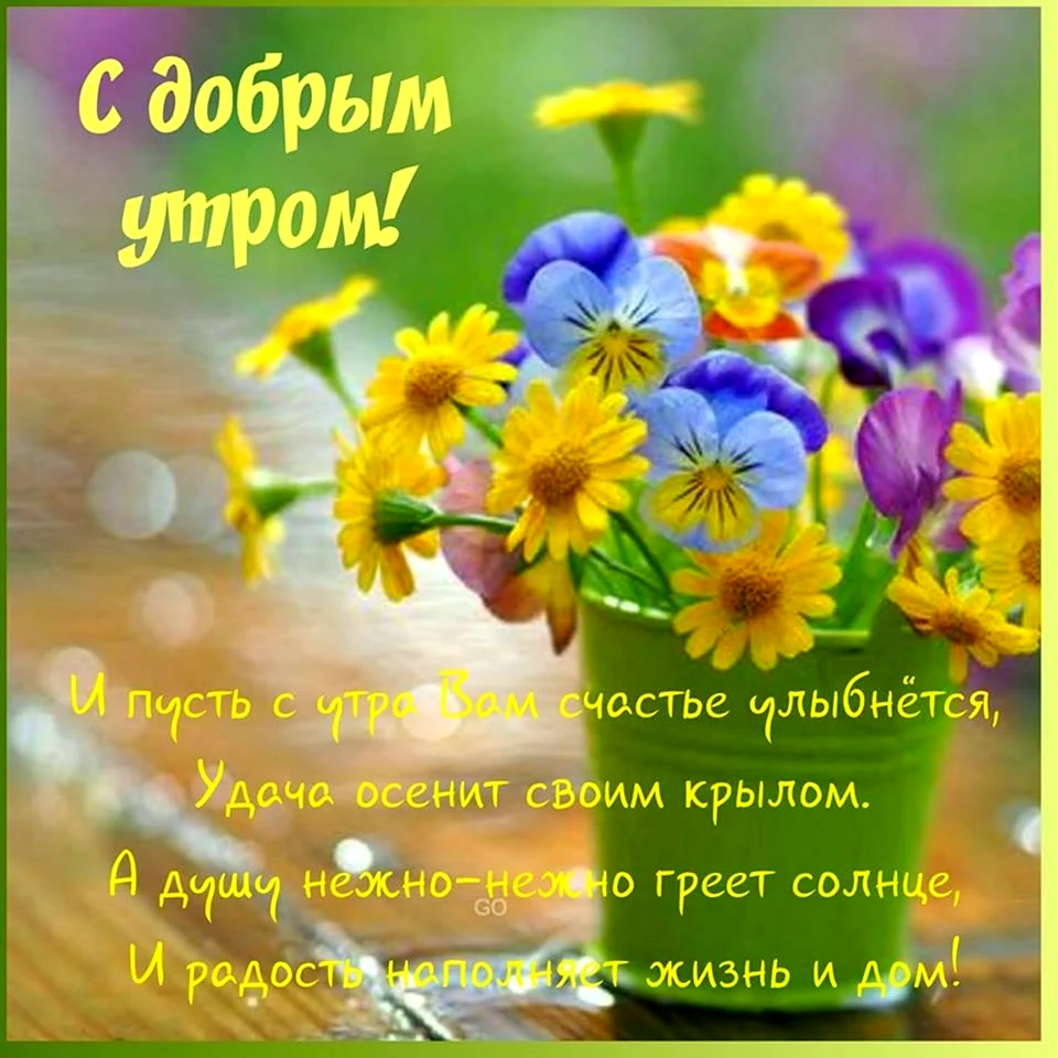 Добрые пожелания на каждый день. Открытка с поздравлением