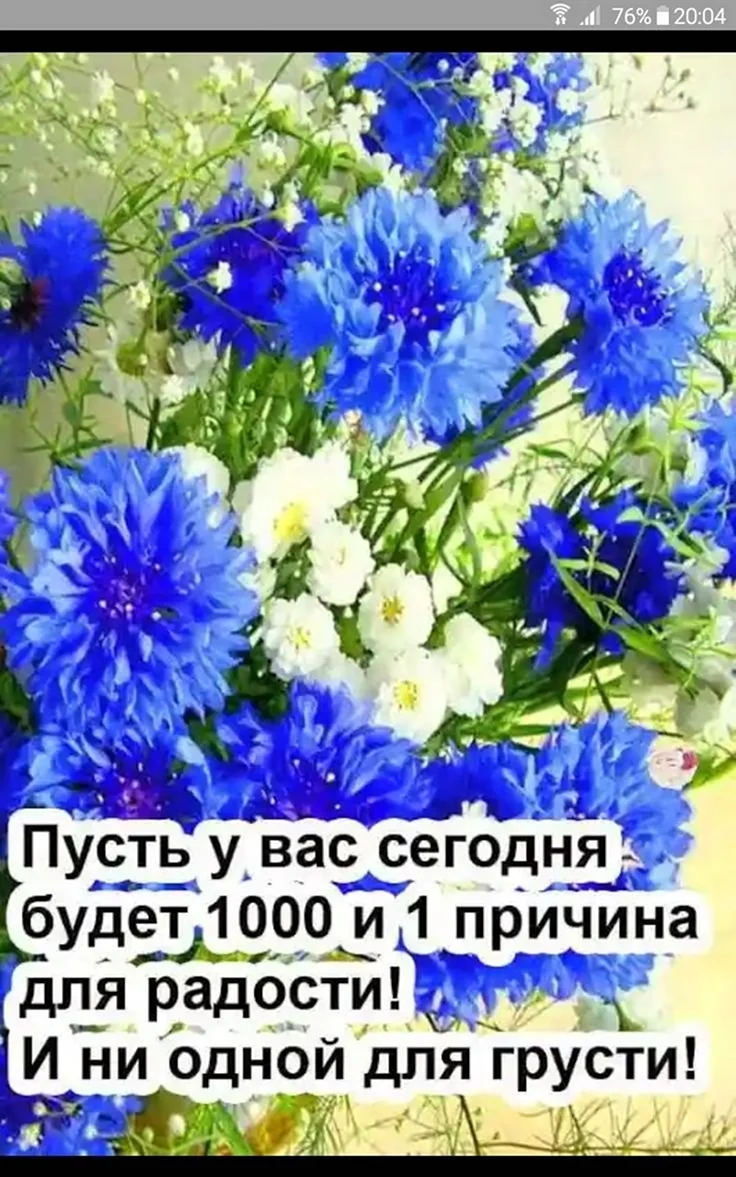 Добрые пожелания с васильками. Открытка с поздравлением