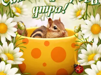 Дорого утра и хорошего настроения. Открытка с пожеланием