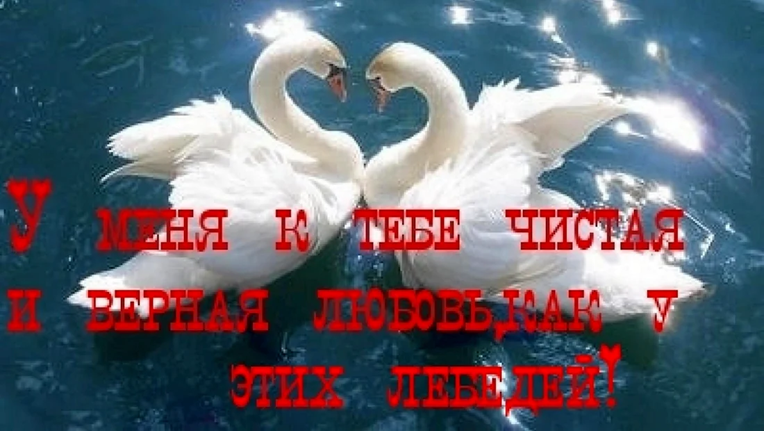 Год вместе поздравления. Поздравление на праздник
