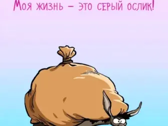 Юмор в картинках со смыслом. Прикольная открытка