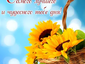 Хорошего дня и отличного настроения. Поздравление на праздник