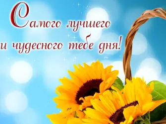 Хорошего дня и отличного настроения. Открытка с пожеланием