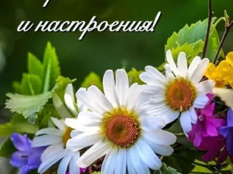 Хорошего дня и отличного настроения. Открытка с поздравлением