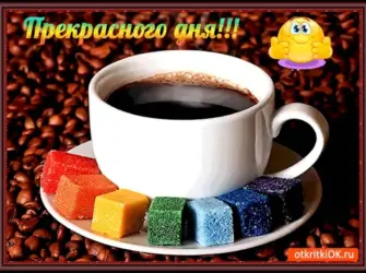 Хорошего дня и отличного настроения мужчине. Открытка с пожеланием