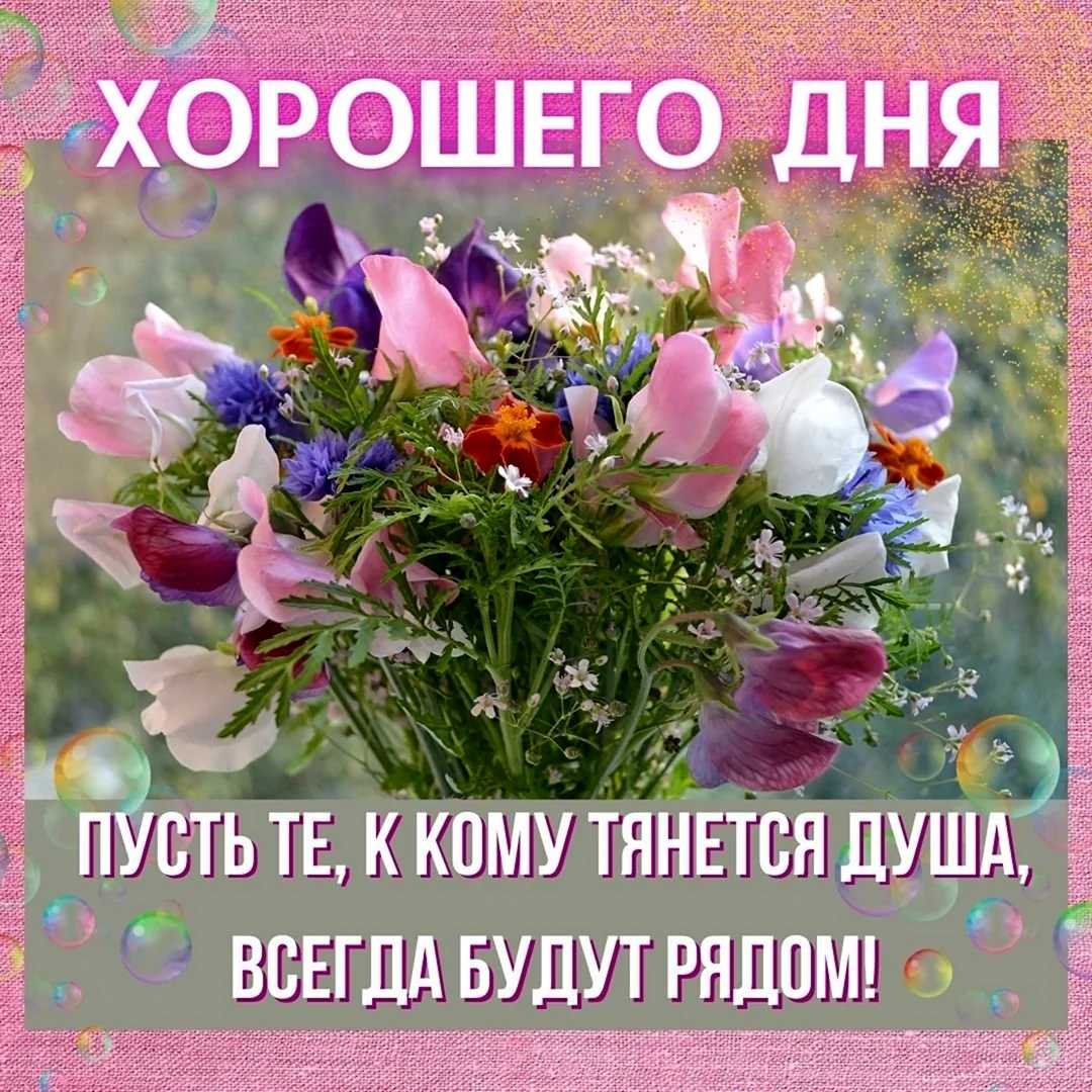 Хорошего дня и здоровья. Открытка с поздравлением