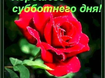 Хорошего субботнего дня. Открытка с пожеланием