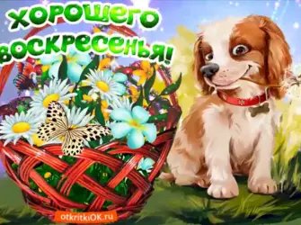 Хорошего воскресенья открытка