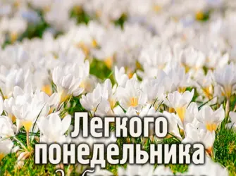 Хорошего воскресного дня природа. Открытка с пожеланием