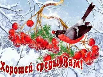 Хорошего зимнего дня. Открытка с пожеланием