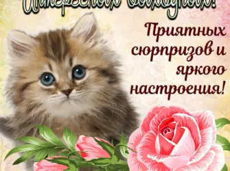 Хороших выходных открытки. Открытка с пожеланием