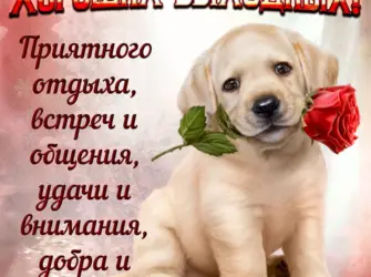 Хороших выходных открытки. Открытка с пожеланием