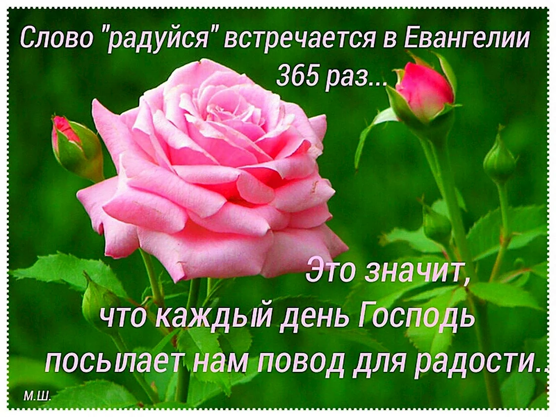Христианские пожелания на каждый день. Открытка с поздравлением