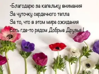 Красивые добрые высказывания. Открытка с поздравлением