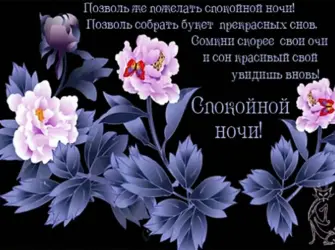 Красивые пожелания спокойной ночи. Открытка с пожеланием