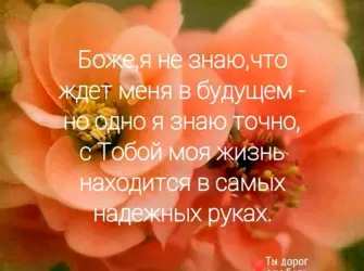 Красивые цитаты из Библии открытка