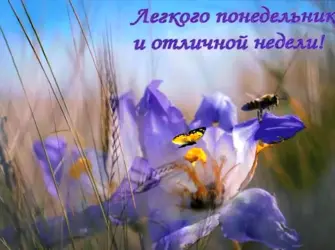 Легкого понедельника. Открытка с поздравлением