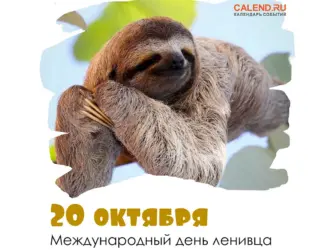 Ленивец. Поздравление на праздник
