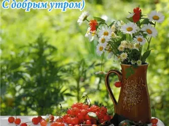 Летнее настроение. Открытка с пожеланием