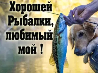 Любимому рыбаку. Открытка с пожеланием