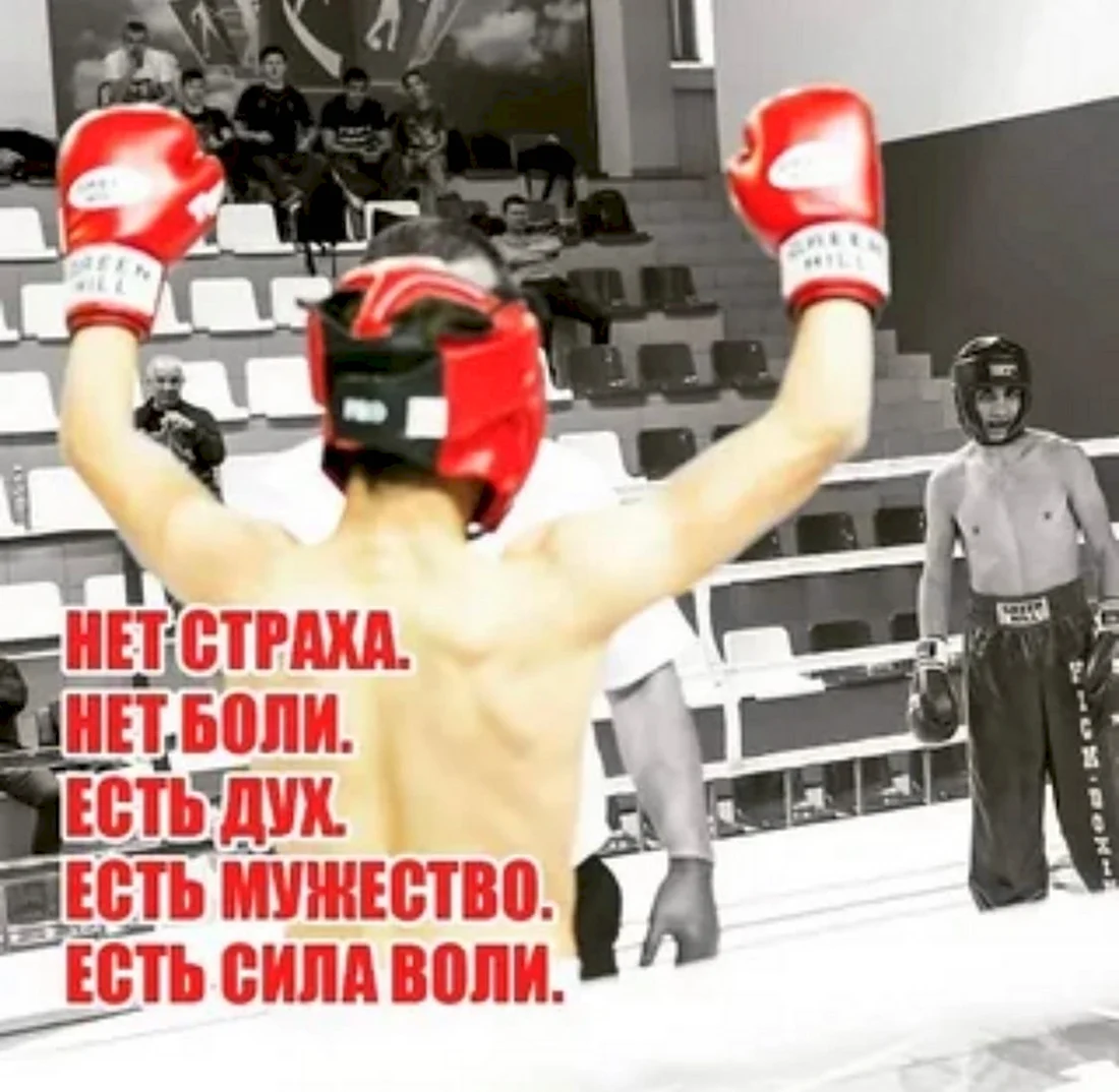 Международный день кикбоксинга. Открытка с поздравлением