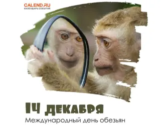 Международный день обезьян. Поздравление на праздник