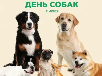 Международный день собак 2 июля. Открытка с поздравлением