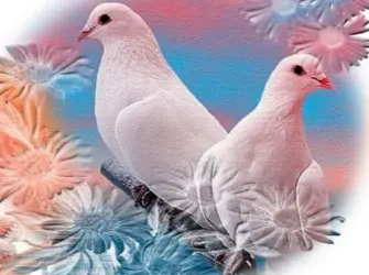 Мира и добра открытка