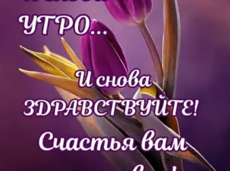 Мудрые пожелания с добрым утром. Открытка с поздравлением