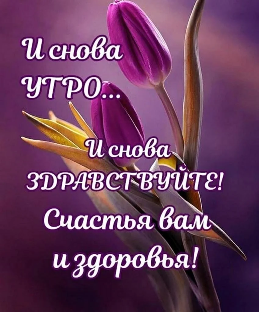 Мудрые пожелания с добрым утром. Открытка с поздравлением
