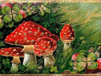 Мухоморы Винтажные открытка