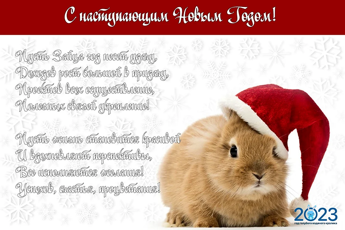 Новогоднее поздравление с годом кролика. Поздравление на праздник