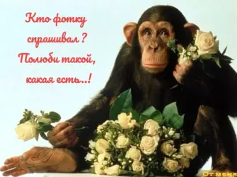 Обезьянка с цветами. Открытка с пожеланием
