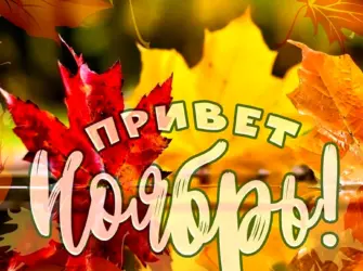 Осенние открытки. Открытка. Поздравление