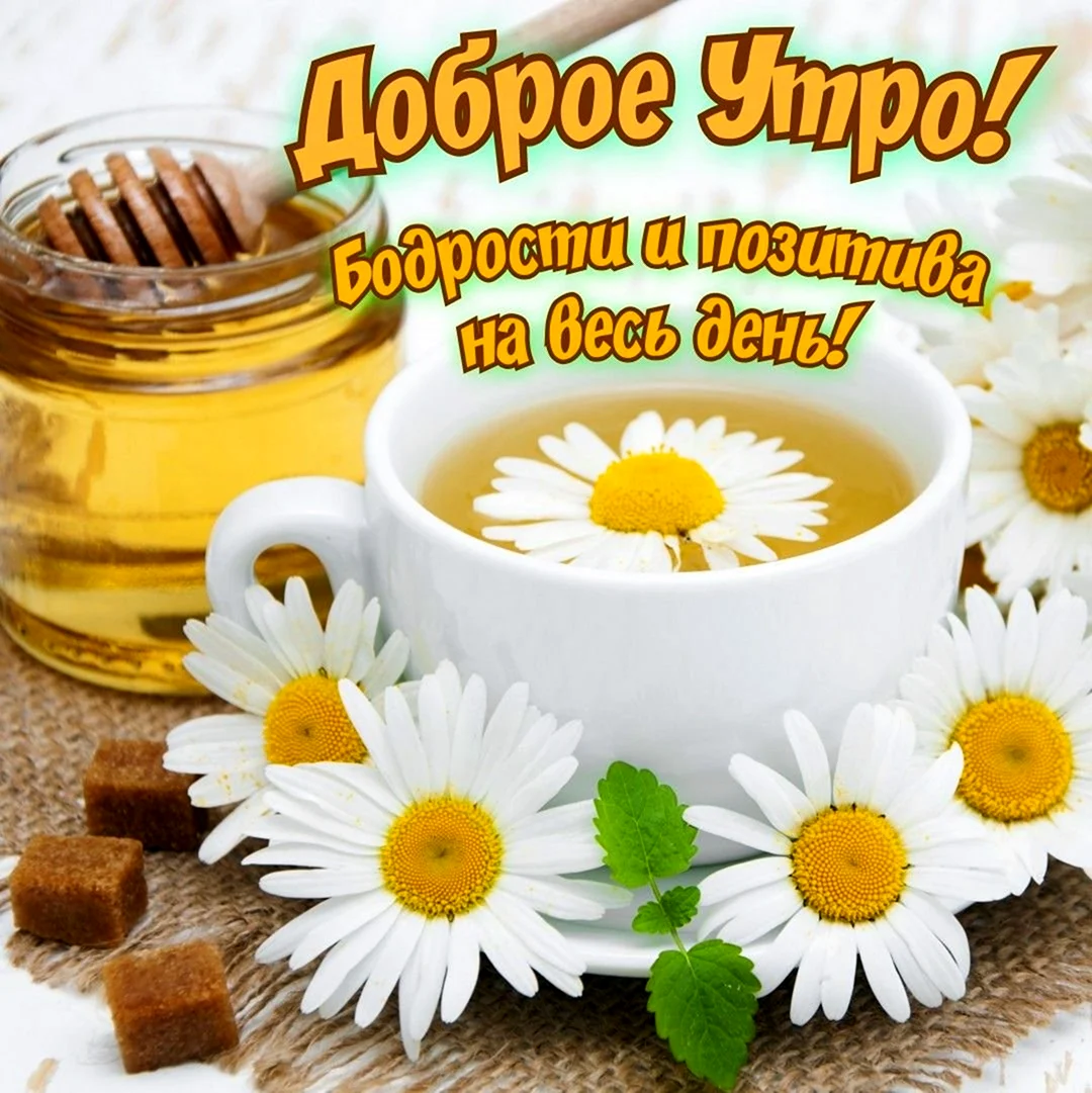 Открытка бодрости и хорошего настроения. Открытка с поздравлением