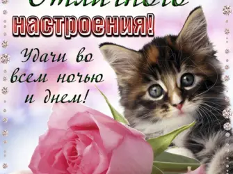 Открытка хорошего настроения. Открытка с пожеланием