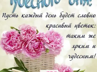 Открытка с дрбрым днём. Поздравление на праздник