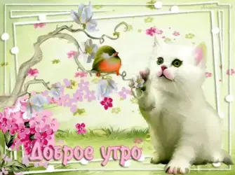 Открытки анимашки с добрым утром открытка