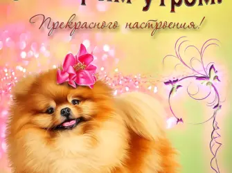 Открытки доброе утро. Открытка с пожеланием